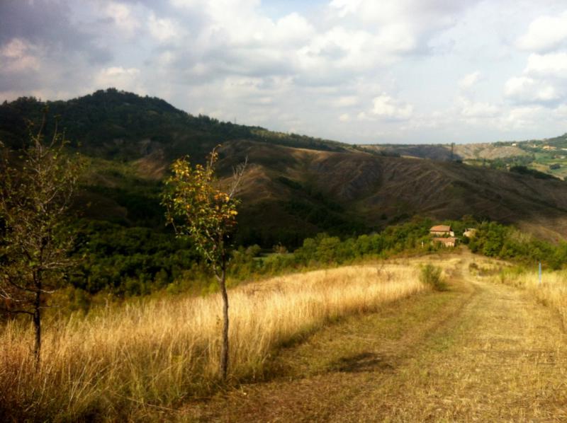 VIA TORRIANE (BOLOGNA) VENDESI sui famosi colli bolognesi, a 10Km dal centro di Bologna, in strada silenziosa e nel verde, in angolo di collina con veduta mozzafiato, podere agricolo composto da 34 ettari di terreno (sia di qualitÃ  seminativo sia presente vasta area verde boschiva e piante da frutto) e da 1000mq ca di rustici da ristrutturare composti da casa padronale, fienile e forno. La soluzione Ã¨ molto interessante poichÃ¨ vi Ã¨ giÃ  un progetto di ristrutturazione depositato in Comune e pagati giÃ  gli oneri per i permessi (possibilitÃ  di modifiche). Ideale sia per abitazione che per diverse soluzioni abitative o per agriturismo a Km 0, ma sopra ogni cosa per gustarsi la natura in tutto e per tutto pur rimanendo comodi alla cittÃ . â‚¬ 650.000 (Ape in fase di elaborazione da tecnico abilitato)  