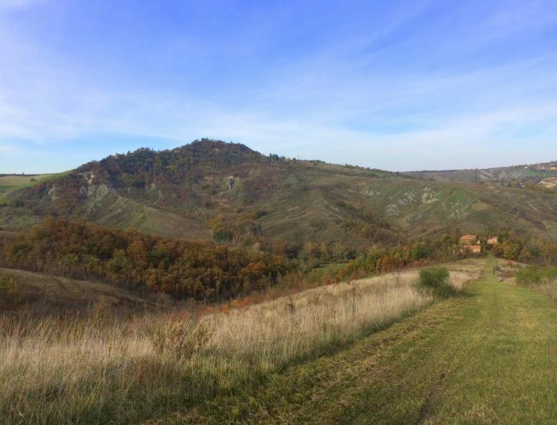 VIA TORRIANE (BOLOGNA) VENDESI sui famosi colli bolognesi, a 10Km dal centro di Bologna, in strada silenziosa e nel verde, in angolo di collina con veduta mozzafiato, podere agricolo composto da 34 ettari di terreno (sia di qualitÃ  seminativo sia presente vasta area verde boschiva e piante da frutto) e da 1000mq ca di rustici da ristrutturare composti da casa padronale, fienile e forno. La soluzione Ã¨ molto interessante poichÃ¨ vi Ã¨ giÃ  un progetto di ristrutturazione depositato in Comune e pagati giÃ  gli oneri per i permessi (possibilitÃ  di modifiche). Ideale sia per abitazione che per diverse soluzioni abitative o per agriturismo a Km 0, ma sopra ogni cosa per gustarsi la natura in tutto e per tutto pur rimanendo comodi alla cittÃ . â‚¬ 650.000 (Ape in fase di elaborazione da tecnico abilitato)  