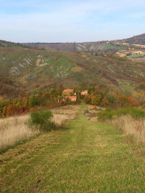 VIA TORRIANE (BOLOGNA) VENDESI sui famosi colli bolognesi, a 10Km dal centro di Bologna, in strada silenziosa e nel verde, in angolo di collina con veduta mozzafiato, podere agricolo composto da 34 ettari di terreno (sia di qualitÃ  seminativo sia presente vasta area verde boschiva e piante da frutto) e da 1000mq ca di rustici da ristrutturare composti da casa padronale, fienile e forno. La soluzione Ã¨ molto interessante poichÃ¨ vi Ã¨ giÃ  un progetto di ristrutturazione depositato in Comune e pagati giÃ  gli oneri per i permessi (possibilitÃ  di modifiche). Ideale sia per abitazione che per diverse soluzioni abitative o per agriturismo a Km 0, ma sopra ogni cosa per gustarsi la natura in tutto e per tutto pur rimanendo comodi alla cittÃ . â‚¬ 650.000 (Ape in fase di elaborazione da tecnico abilitato)  