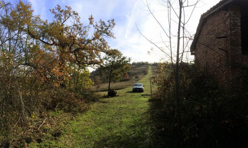 VIA TORRIANE (BOLOGNA) VENDESI sui famosi colli bolognesi, a 10Km dal centro di Bologna, in strada silenziosa e nel verde, in angolo di collina con veduta mozzafiato, podere agricolo composto da 34 ettari di terreno (sia di qualitÃ  seminativo sia presente vasta area verde boschiva e piante da frutto) e da 1000mq ca di rustici da ristrutturare composti da casa padronale, fienile e forno. La soluzione Ã¨ molto interessante poichÃ¨ vi Ã¨ giÃ  un progetto di ristrutturazione depositato in Comune e pagati giÃ  gli oneri per i permessi (possibilitÃ  di modifiche). Ideale sia per abitazione che per diverse soluzioni abitative o per agriturismo a Km 0, ma sopra ogni cosa per gustarsi la natura in tutto e per tutto pur rimanendo comodi alla cittÃ . â‚¬ 650.000 (Ape in fase di elaborazione da tecnico abilitato)  