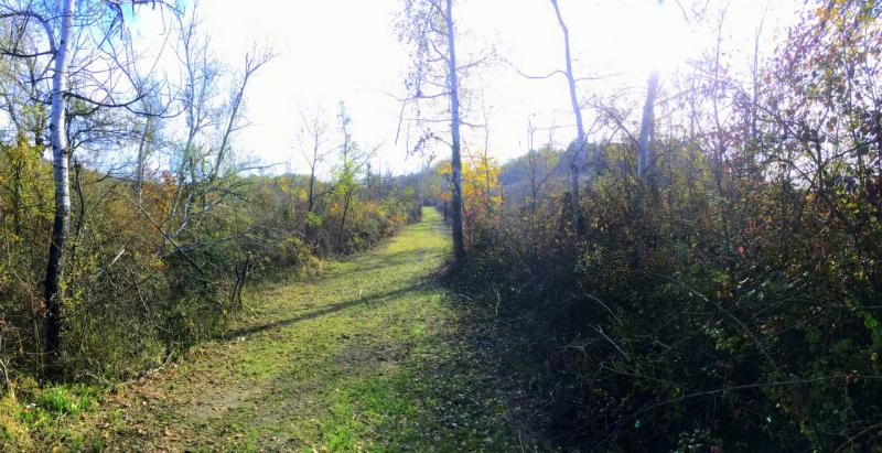 VIA TORRIANE (BOLOGNA) VENDESI sui famosi colli bolognesi, a 10Km dal centro di Bologna, in strada silenziosa e nel verde, in angolo di collina con veduta mozzafiato, podere agricolo composto da 34 ettari di terreno (sia di qualitÃ  seminativo sia presente vasta area verde boschiva e piante da frutto) e da 1000mq ca di rustici da ristrutturare composti da casa padronale, fienile e forno. La soluzione Ã¨ molto interessante poichÃ¨ vi Ã¨ giÃ  un progetto di ristrutturazione depositato in Comune e pagati giÃ  gli oneri per i permessi (possibilitÃ  di modifiche). Ideale sia per abitazione che per diverse soluzioni abitative o per agriturismo a Km 0, ma sopra ogni cosa per gustarsi la natura in tutto e per tutto pur rimanendo comodi alla cittÃ . â‚¬ 650.000 (Ape in fase di elaborazione da tecnico abilitato)  