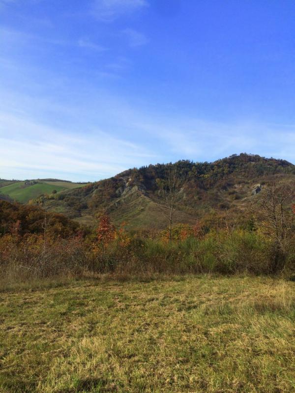 VIA TORRIANE (BOLOGNA) VENDESI sui famosi colli bolognesi, a 10Km dal centro di Bologna, in strada silenziosa e nel verde, in angolo di collina con veduta mozzafiato, podere agricolo composto da 34 ettari di terreno (sia di qualitÃ  seminativo sia presente vasta area verde boschiva e piante da frutto) e da 1000mq ca di rustici da ristrutturare composti da casa padronale, fienile e forno. La soluzione Ã¨ molto interessante poichÃ¨ vi Ã¨ giÃ  un progetto di ristrutturazione depositato in Comune e pagati giÃ  gli oneri per i permessi (possibilitÃ  di modifiche). Ideale sia per abitazione che per diverse soluzioni abitative o per agriturismo a Km 0, ma sopra ogni cosa per gustarsi la natura in tutto e per tutto pur rimanendo comodi alla cittÃ . â‚¬ 650.000 (Ape in fase di elaborazione da tecnico abilitato)  